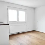 Rent 2 bedroom apartment of 212 m² in Vienna