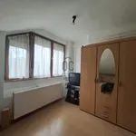 Rent 2 bedroom apartment of 44 m² in Pécs