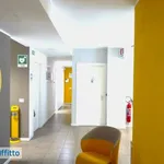 Affitto 6 camera appartamento di 248 m² in Catania