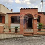 Rent 3 bedroom house of 150 m² in Monte Sant'Angelo