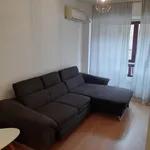 Alquilar 3 dormitorio apartamento en Murcia