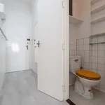 Pronajměte si 1 ložnic/e byt o rozloze 33 m² v Prague