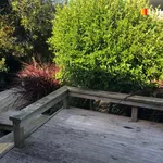 Rent 1 bedroom apartment in Dunedin