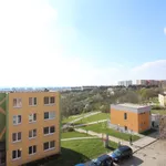 Rent 1 bedroom apartment in Brno