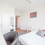 Louez une chambre de 64 m² à Strasbourg