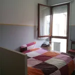 Rent 2 bedroom apartment of 30 m² in Padua