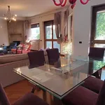 Rent 5 bedroom apartment of 230 m² in Vedano al Lambro