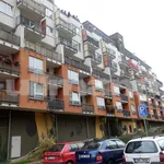 Pronajměte si 3 ložnic/e byt o rozloze 74 m² v Prague