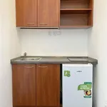 Rent 1 bedroom apartment in Brno