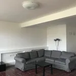 Rent 1 bedroom apartment of 300 m² in Prague