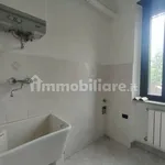 Rent 3 bedroom apartment of 80 m² in Turin