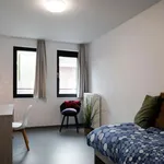 Rent 1 bedroom apartment in Tournai