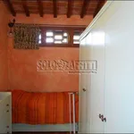 Rent 4 bedroom house of 120 m² in Siena