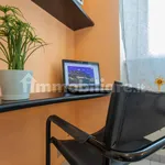 Rent 1 bedroom apartment of 42 m² in Turin