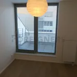 Rent 2 bedroom apartment of 82 m² in Brno