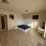 Rent 1 bedroom apartment of 32 m² in Praha 18