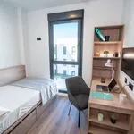 Alquilo 1 dormitorio apartamento de 18 m² en alicante