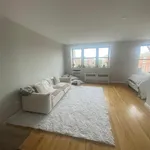 Rent 1 bedroom apartment in NY