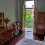 Rent 4 bedroom apartment in Bologna