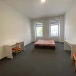 Rent 3 bedroom apartment in Brno