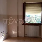 Rent 3 bedroom apartment of 105 m² in Fidenza