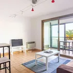 Rent 1 bedroom apartment of 28 m² in Mandelieu-la-Napoule