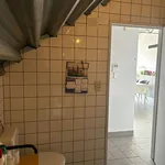 Rent 1 bedroom apartment in Mechelen