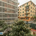 Rent 2 bedroom apartment of 66 m² in Genoa