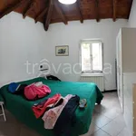 Rent 3 bedroom apartment of 60 m² in Celle Ligure