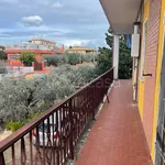 Rent 4 bedroom apartment of 120 m² in Roma