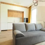 Rent 1 bedroom apartment of 25 m² in Łódź