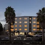 Rent 2 bedroom apartment in Auckland