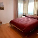 Rent 3 bedroom apartment in Rudolfstetten