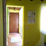 Affitto 2 camera appartamento di 40 m² in Monte Porzio Catone