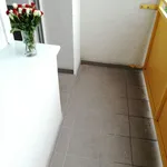 Rent 2 bedroom apartment of 49 m² in Ostrava