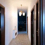 Rent 3 bedroom apartment of 120 m² in Foggia