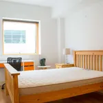 Rent a room in dublin