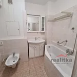 Rent 3 bedroom apartment of 76 m² in Opava