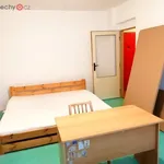 Pronajměte si 3 ložnic/e byt o rozloze 51 m² v Staré Město pod Landštejnem