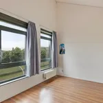 Huur 6 slaapkamer huis van 157 m² in Den Haag