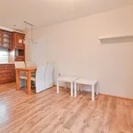 Rent 3 bedroom apartment in Brno