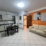 Rent 2 bedroom apartment of 73 m² in Torino