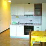 Rent 1 bedroom apartment of 33 m² in Genova