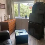 Rent 4 bedroom house in South West England