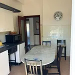 Rent 3 bedroom apartment of 85 m² in Roma