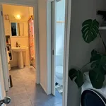 Rent 3 bedroom house in Tauranga