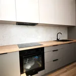 Rent 1 bedroom apartment of 50 m² in Lublin