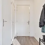 Apartment for rent in Bergen op Zoom Burgemeester van Hasseltstraat