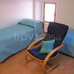 Rent 1 bedroom apartment of 16 m² in Jesi