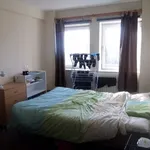 Rent 3 bedroom apartment in East Midlands